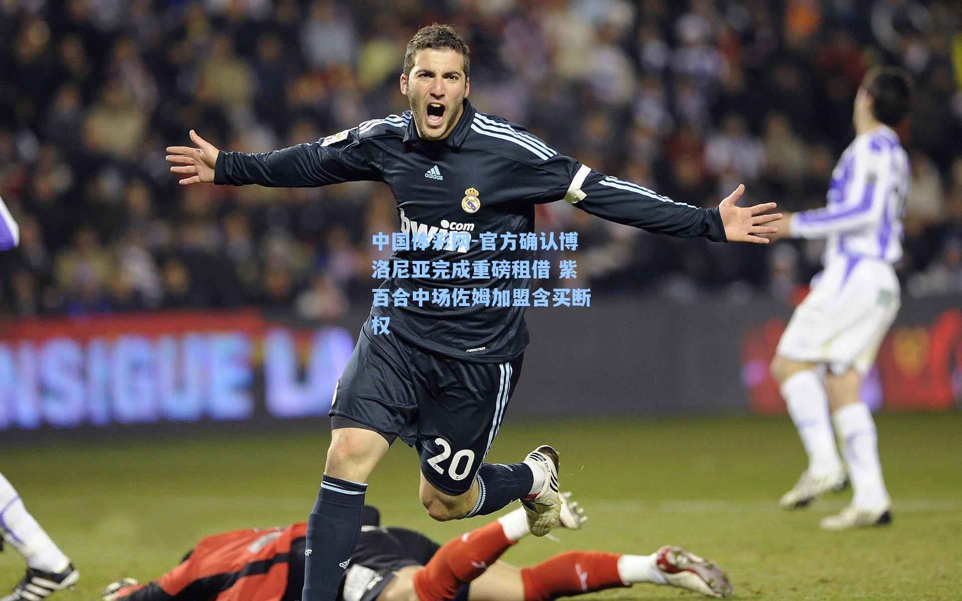 官方确认博洛尼亚完成重磅租借 紫百合中场佐姆加盟含买断权